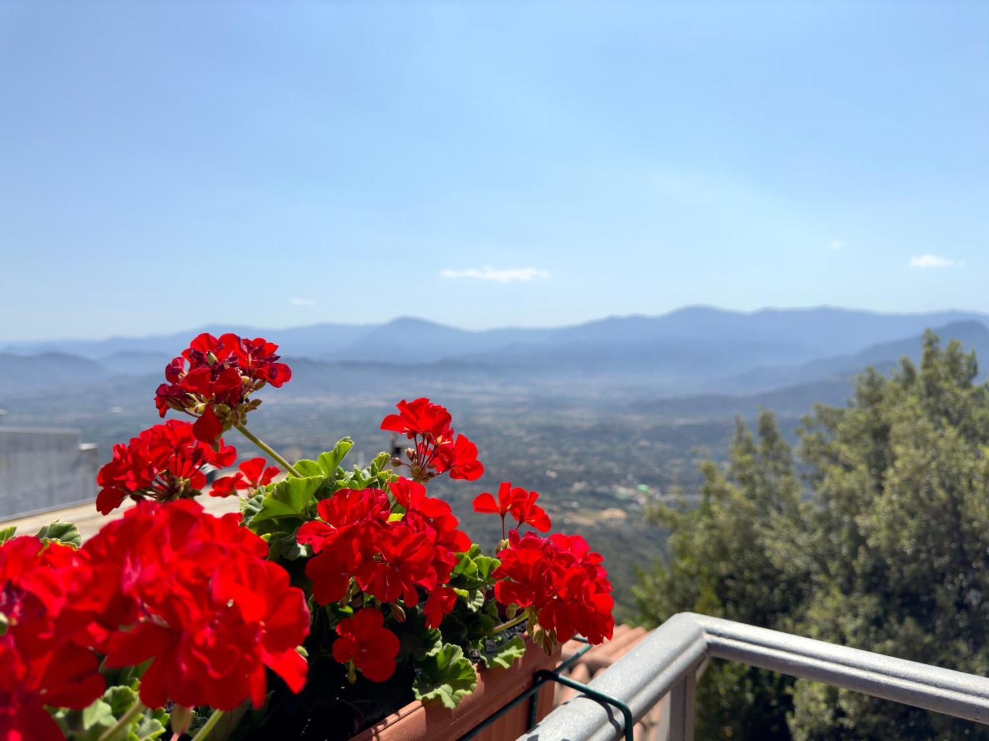 B&B Selvaggio Blu Baunei Exterior photo